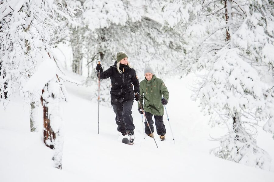 Pyhätunturi: Try Wilderness Skiing in Finnish Lapland - Price and Value: Is $133 Worth It for 2.5 Hours?