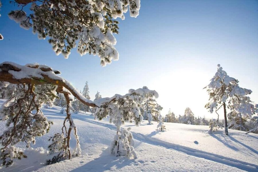 Rovaniemi: Cross-Country Skiing Adventure with Guide - Why cross-country skiing in Rovaniemi feels different than the usual winter stuff