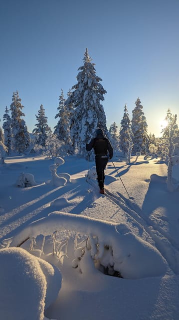 Saariselkä: Back-Country Skiing Guided Tour - Key Things That Make This Tour Worth Your Time