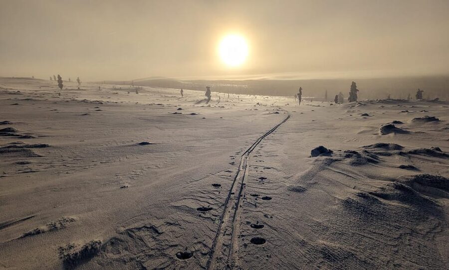 Saariselkä: Back-Country Skiing Guided Tour - Why Saariselkä Back-Country Skiing Feels Like Real Wilderness