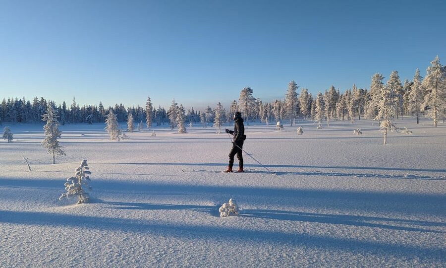 Saariselkä: Back-Country Skiing Guided Tour - Off-Trail Routes Through Forests and Fells (Wildlife Included in the Plan)