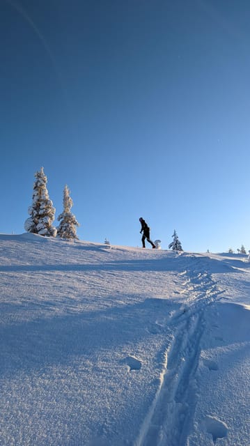 Saariselkä: Back-Country Skiing Guided Tour - Who Should Book This (and Who Might Feel Out of Place)