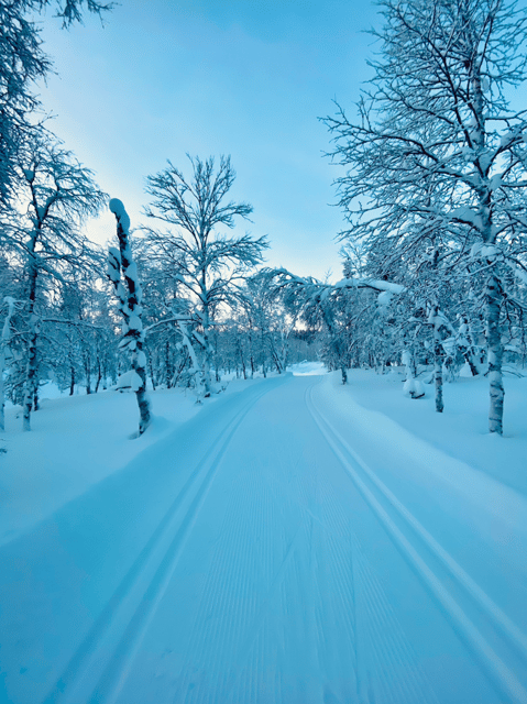 Saariselkä: Cross-Country Skiing for beginners - Who should book this tour, and who should think twice
