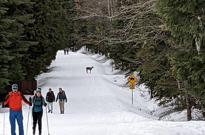 Shuttle to Snoqualmie Pass Ski and Snowboard - Night skiing: when you’re heading back down