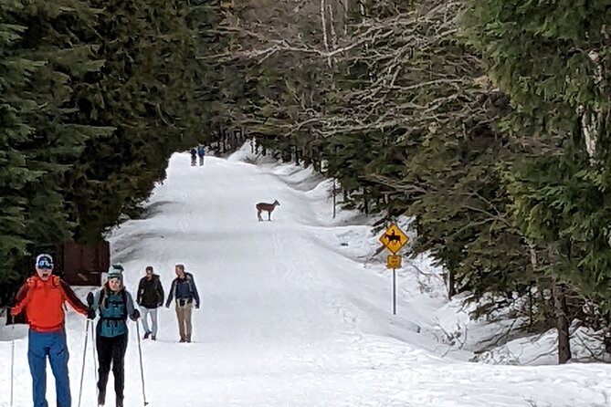 Shuttle to Snoqualmie Pass Ski and Snowboard - Value check: who this shuttle makes the most sense for