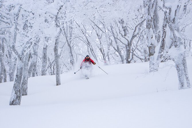 Ski or Snowboard Lesson in Shiga Kogen (4Hours) - What you can expect during the session on snow