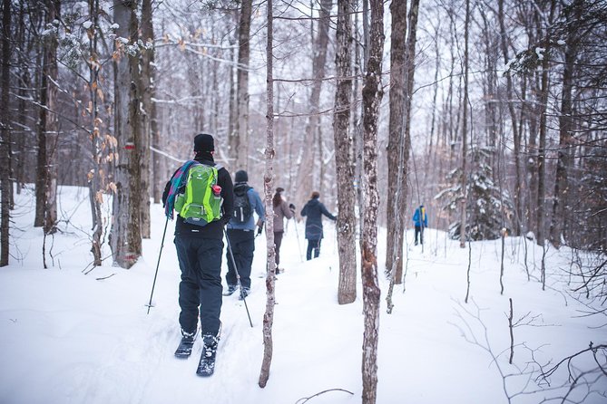 Skiing (Hok Ski) Excursion in Jacques-Cartier National Park - Key takeaways before you go