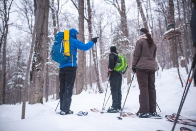 Skiing (Hok Ski) Excursion in Jacques-Cartier National Park - Getting from Quebec City into Jacques-Cartier National Park