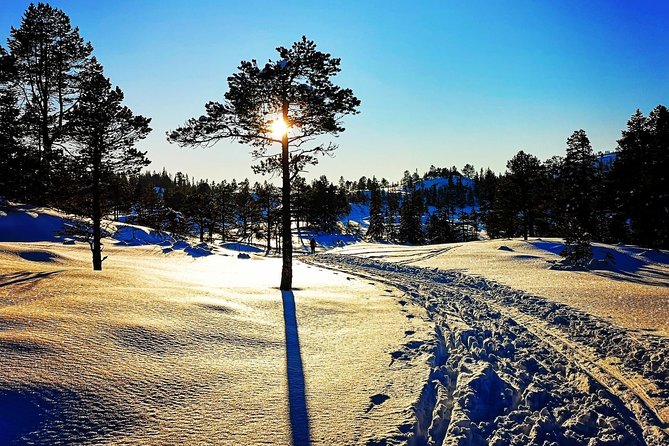 Skiing in winter wonderland - Leaving Trondheim for Snowy Forest Skis