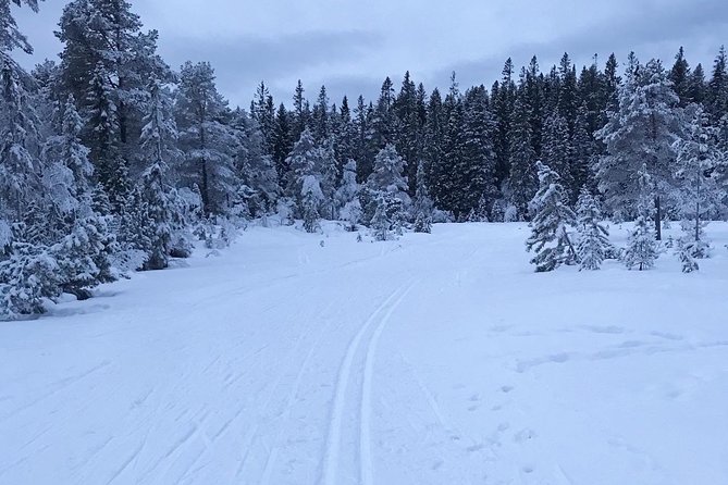 Skiing in winter wonderland - The Norwegian Snack Stop: More Than a Break