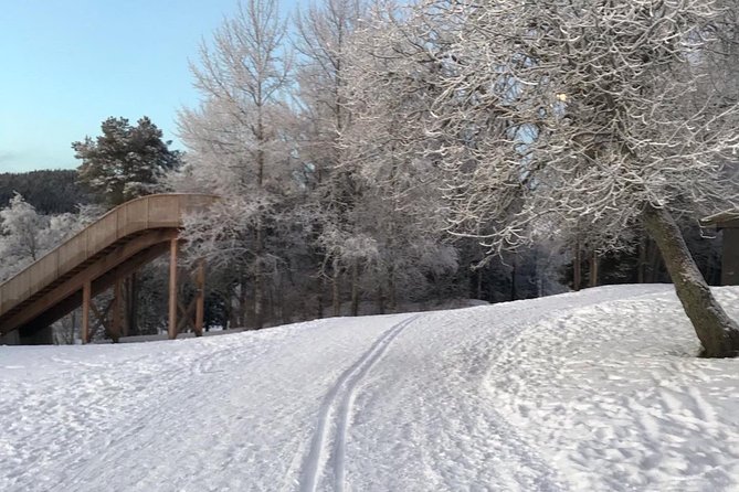 Skiing in winter wonderland - Price and Value: Is $232.82 Worth It?