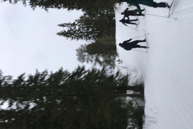 Skiing in winter wonderland - Who This Tour Fits Best (and Who Might Want Another Option)