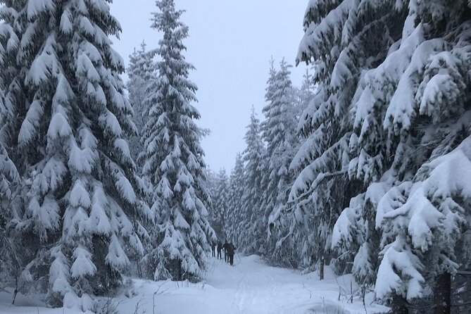 The Ultimate Norwegian Skiing Experience - The Norwegian Snack Break: Hot Chocolate and Real Winter Reward