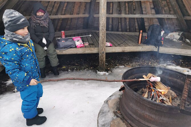 Traditional Sight-Skiing Experience in Kemi - Timing, group size, and how it affects your route