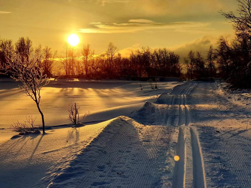 Tromsø: Cross Country Guided Skiing Course - The route starts with Tromsøya: photo stop, wildlife, and first technique