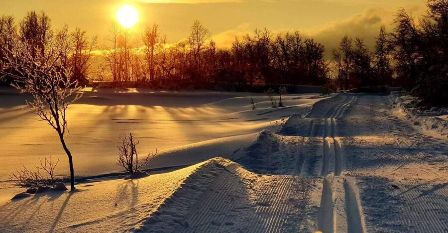 Tromsø: Cross Country Guided Skiing Course - The instructors: patient teaching that actually matches your pace