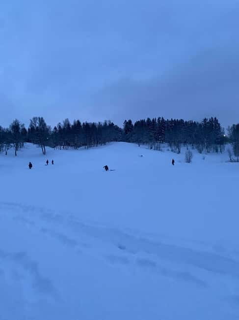 Tromsø: Sledding, Toboggan, Mini Skiing, Lasso & Arctic Fun - Price and value: what you get for about $73