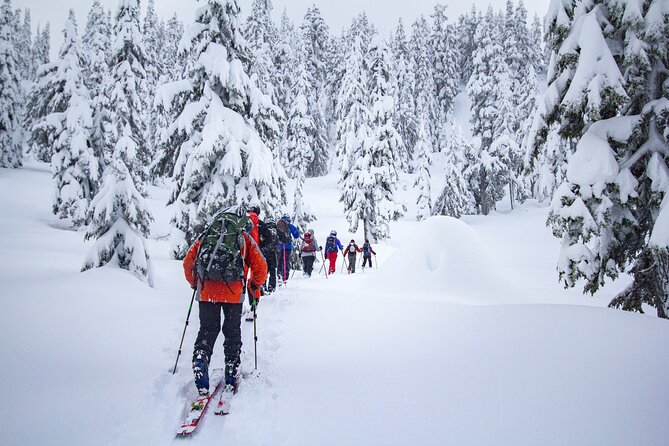 Whistler Intro to Backcountry Skiing and Splitboarding - Skills you’ll practice if you’re strong blue/intermediate