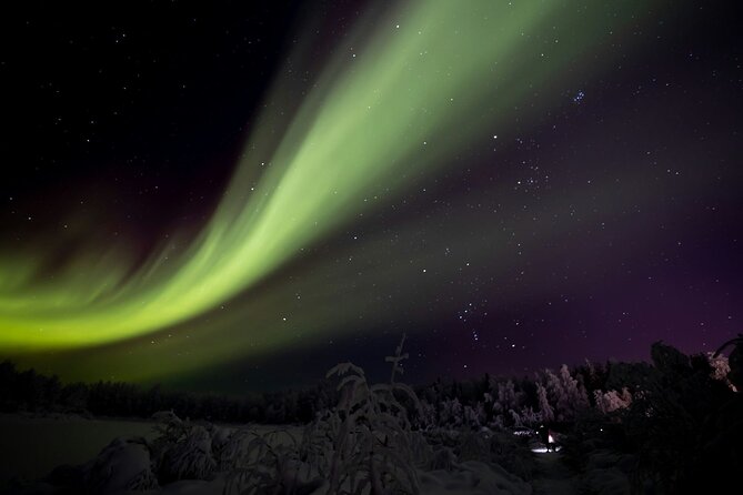 Ylläs: Guided Night Skiing Tour Under the Arctic Sky - Pickups and Timing: How to Start Smoothly