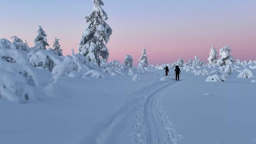 Ylläs: Guided Nordic Skiing Tour in Lapland Wilderness - First contact with the gear: equipment demo you can actually use