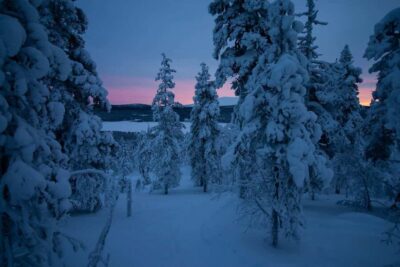 Ylläs: Guided Nordic Skiing Tour in Lapland Wilderness - Where the day starts: Yllästunturi Visitor Centre pickup and the short van ride