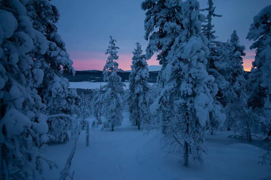 Ylläs: Guided Nordic Skiing Tour in Lapland Wilderness - Where the day starts: Yllästunturi Visitor Centre pickup and the short van ride